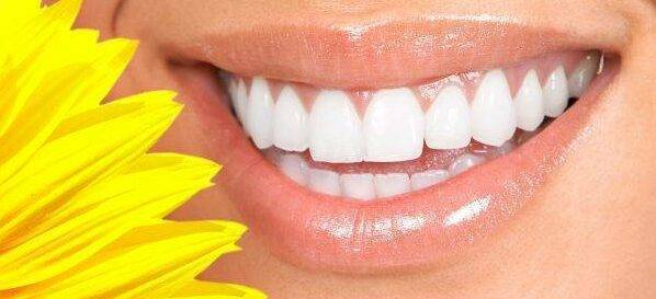 smile savings plan no dental insurance alternative