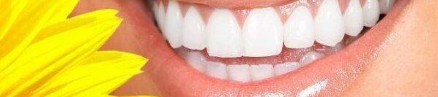 smile savings plan no dental insurance alternative